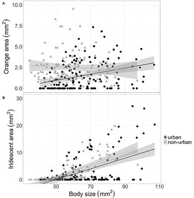 Using fish to understand how cities affect sexual selection before and after mating